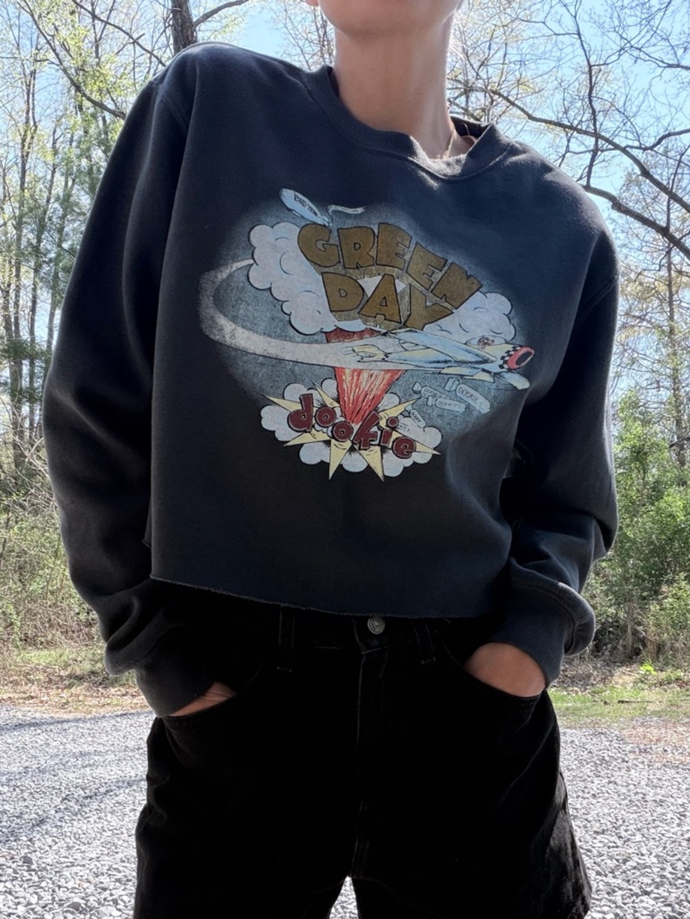 Green Day Graphic Women's Gray‎ Crop Crewneck Pullover Size Small